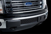 Load image into Gallery viewer, Putco 11-14 Ford F-150 - EcoBoost Grille - Stainless Steel - Black Diamond Bumper Grille Inserts