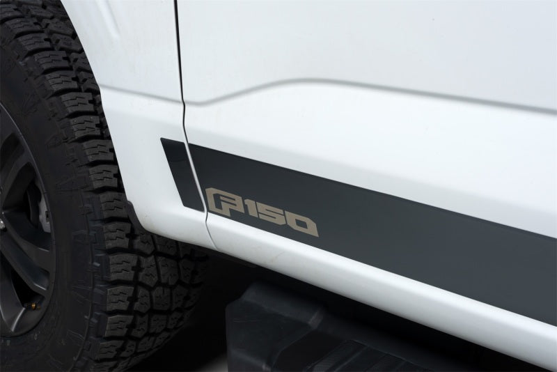 Putco 2021 Ford F-150 Reg Cab 6.5ft Short Box Ford Licensed Blk Platinum Rocker Panels (4.25in 10pc)