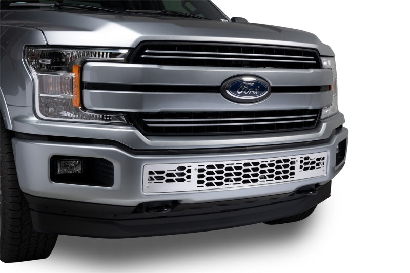 Putco 18-20 Ford F-150 - Hex Shield Style - Polished SS Bumper Grille Inserts