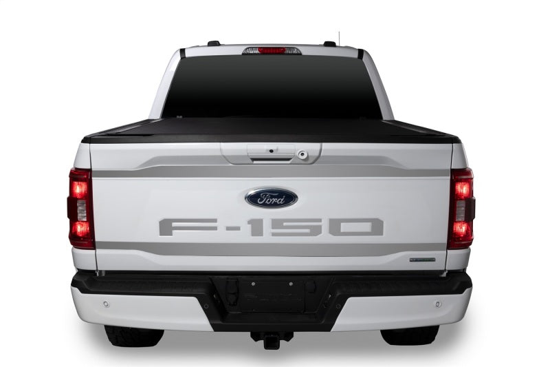 Putco 2021 Ford F-150 Ford Lettering (Cut Letters/Stainless Steel) Tailgate Emblems
